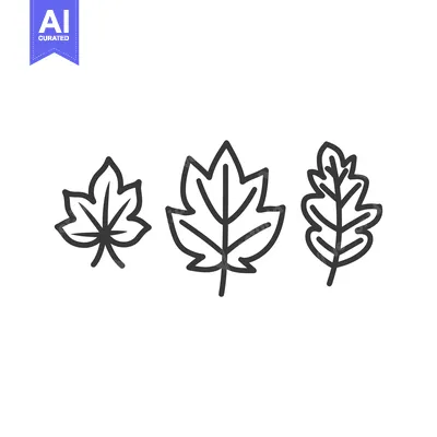 Aset premium populer: Three stylized outline drawings of different leafy forms displayed