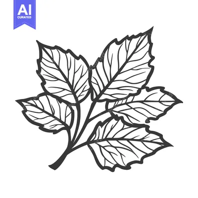 Popular premium asset: A detailed grayscale illustration of a cluster of stylized leaves