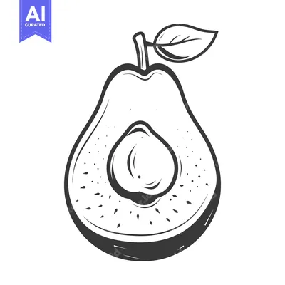 Aset premium populer: An Illustrated Black And White Image Of A Halved Avocado