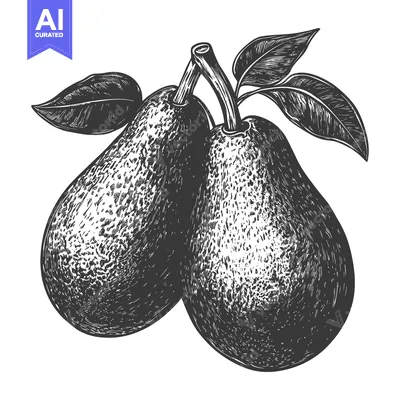 Aset premium populer: Two Pears with Leaves Attached to Their Branch