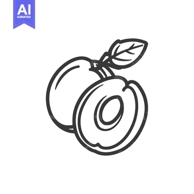 Aset desain premium: A Whole and a Half Apricot with a Leaf