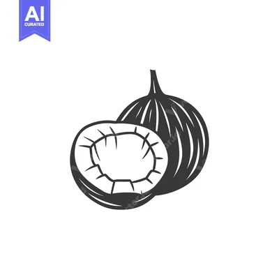 Popular premium asset: A Whole Coconut and a Half Coconut, Black and White Line Drawing