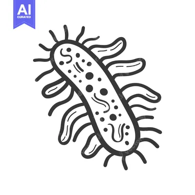 Aset desain premium: A simplified drawing depicting a microbe bacteria cell