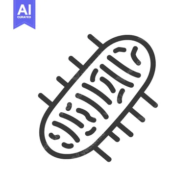 Aset premium populer: An isolated outline illustration depicting an internal cellular organe