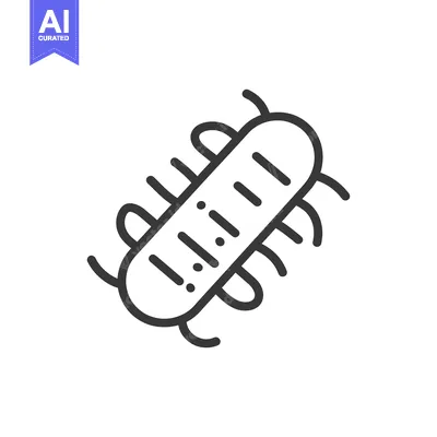 Popular premium asset: Simple illustration of a stylized insect with many legs and body detai