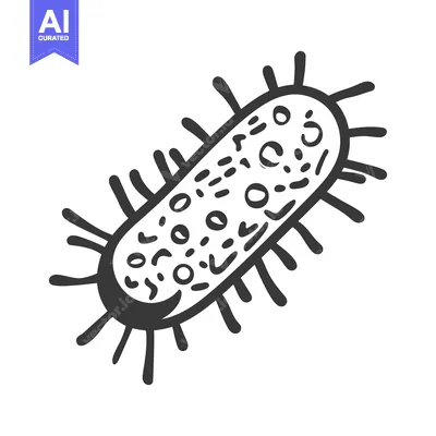 Aset premium populer: An illustrative drawing of a single bacterial cell on white background
