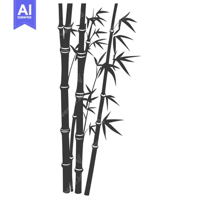 Aset desain premium: Black and white graphic illustration of several bamboo stalks