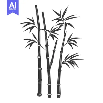 Aset premium populer: Several stalks of black bamboo plants on a white background