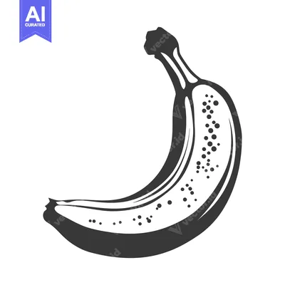 Aset premium populer: Simple black and white illustration depicting a ripe banana fruit