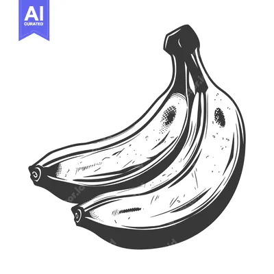 Premium design asset: Two ripe yellow bananas are displayed in a detailed monochrome illustr