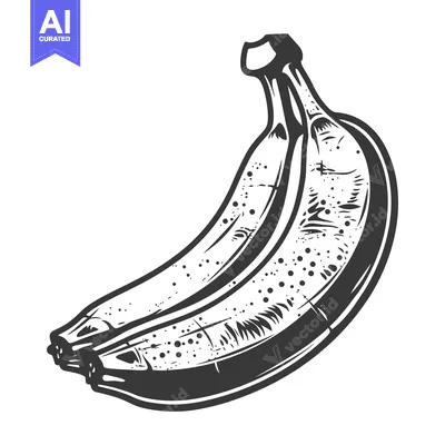 Aset desain premium: Two ripe bananas displayed in a black and white sketch drawing