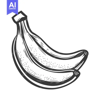 Aset premium populer: A monochrome drawing depicting three curved bananas together on stem