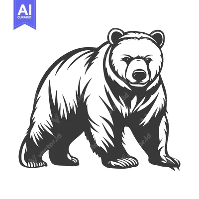 Aset premium populer: This black and white drawing illustrates a large walking bear