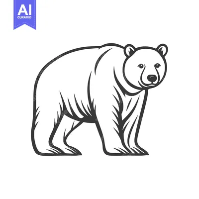 Aset desain premium: A Large Bear Standing On All Four Paws Facing Forward