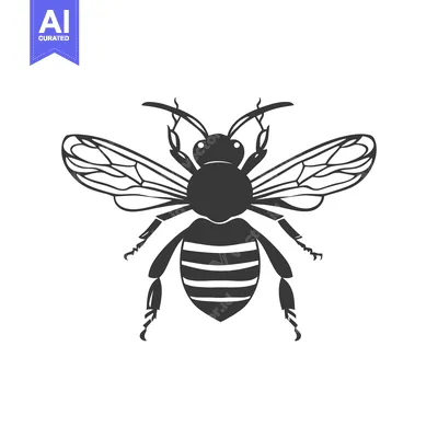 Premium design asset: A detailed black and white illustration of a honeybee insect
