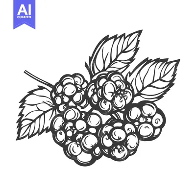 A monochrome depiction of a cluster of ripe blackberries with leaves