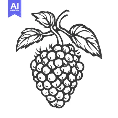 Aset premium populer: A monochrome illustration showing a ripe berry with leaves