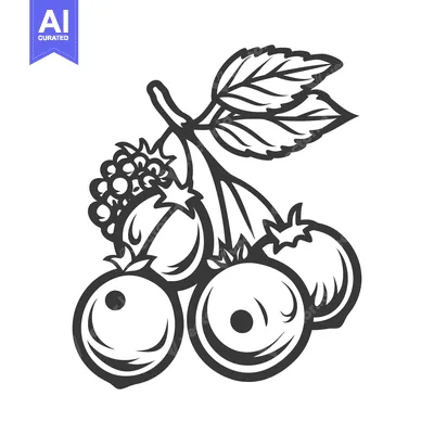 Aset premium populer: Graphic illustration showing fruit berries and leaves on a branch