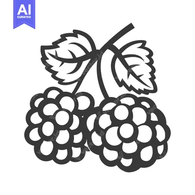 Popular premium asset: Two black berries with leaves on a shared stem are depicted