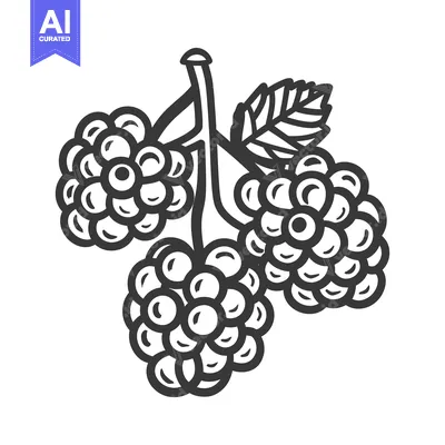 Aset premium populer: Three Blackberries with Leaves are Shown on a Single Stem