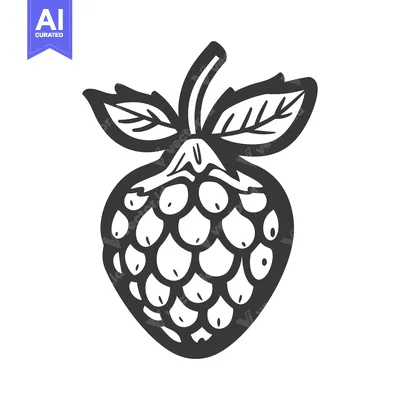 Popular premium asset: A simple outlined drawing of a fresh raspberry fruit