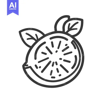 Popular premium asset: A graphical representation of a sliced citrus fruit with leaves