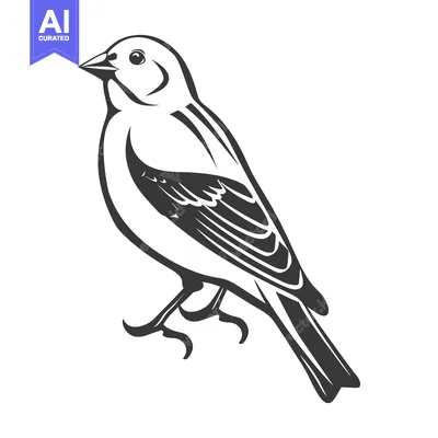 Popular premium asset: A simple detailed illustration of a small bird against white backgroun