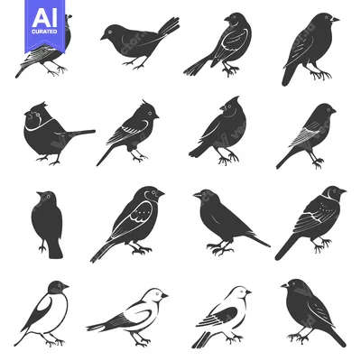 Aset premium populer: Illustrated depiction of multiple songbirds in various stances and pos