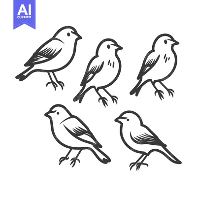 Popular premium asset: Outlined illustrations of five small birds standing on a white surface