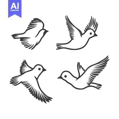 Aset desain premium: Vector illustrations of birds soaring in various stages of flight