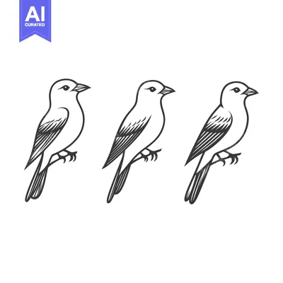 Popular premium asset: Three black and white line art birds are perched on a branch