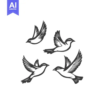Aset premium populer: Four black and white illustrations of birds in mid flight