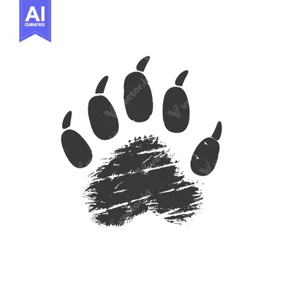 Aset desain premium: Black and White Detailed Bear Paw Print Illustration