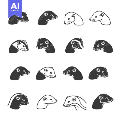 Premium design asset: Black and White Ferret Heads in Different Variations