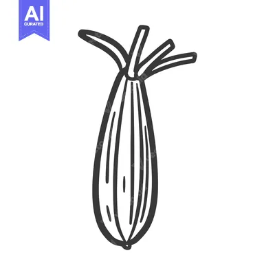 Aset premium populer: Black and White Hand Drawn Illustration of a Caraway Seed