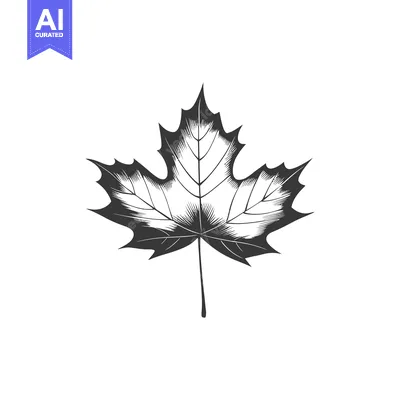 Aset premium populer: Black and White Hand-Drawn Illustration of a Maple Leaf