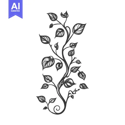 Aset premium populer: Black and white hand-drawn illustration of a vine with leaves