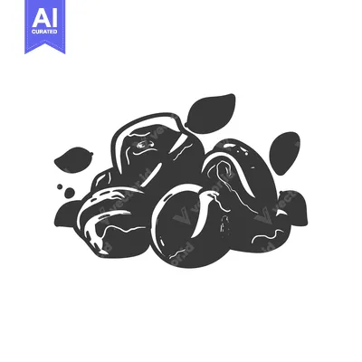 Aset desain premium: Black and White Hand Drawn Illustration of Dates with Leaves