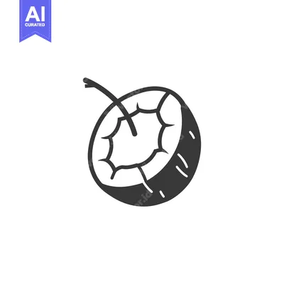 Aset premium populer: Black and White Icon of a Half Coconut with a Stem