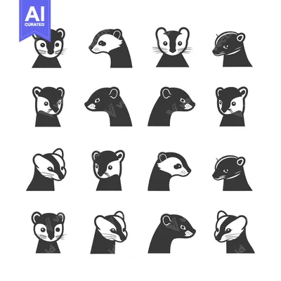 Premium design asset: Black and White Illustrated Heads of Long-tailed Weasels in Various Po