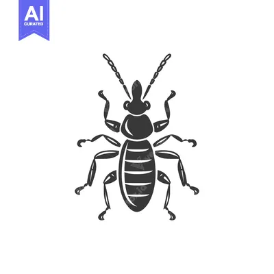 Aset premium populer: Black and White Illustration of a Beetle