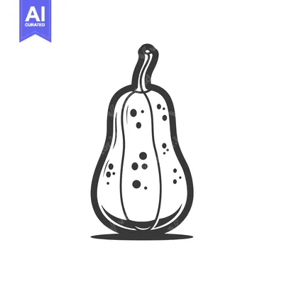 Popular premium asset: Black and White Illustration of a Butternut Squash