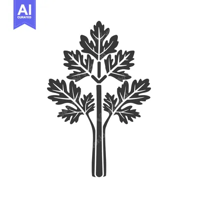 Black and White Illustration of a Celery Stalk