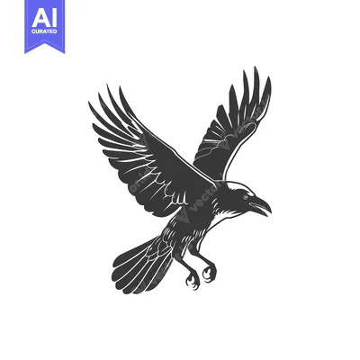 Popular premium asset: Black and White Illustration of a Crow in Flight