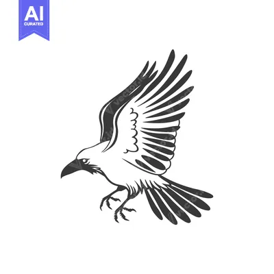 Aset desain premium: Black and White Illustration of a Flying Raven