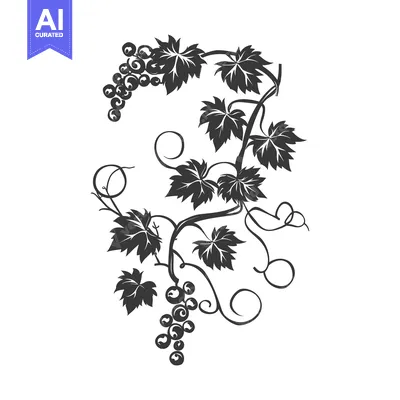 Aset desain premium: Black and White Illustration of a Grape Vine with Leaves and Grapes