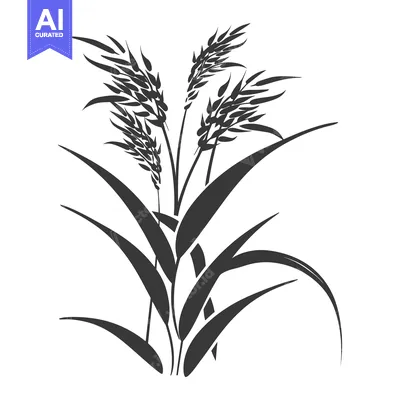 Aset desain premium: Black and White Illustration of a Grass Plant with Three Stalks