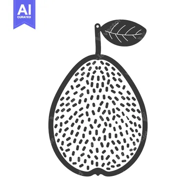 Aset premium populer: Black and White Illustration of a Guava with a Leaf