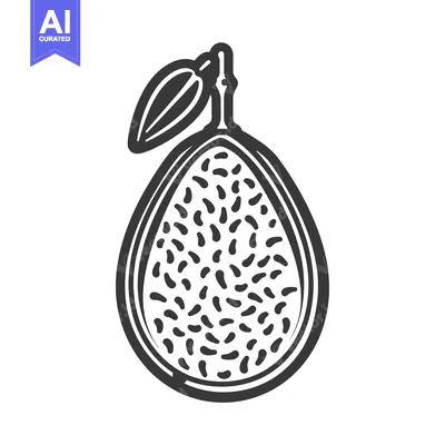 Popular premium asset: Black and White Illustration of a Half Passion Fruit