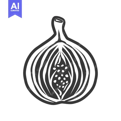 Aset premium populer: Black and White Illustration of a Halved Fig